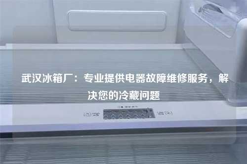  武汉冰箱厂：专业提供电器故障维修服务，解决您的冷藏问题