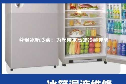  尊贵冰箱冷藏：为您带来高端冷藏体验
