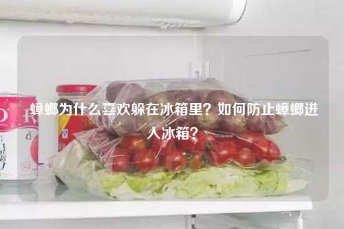  蟑螂为什么喜欢躲在冰箱里？如何防止蟑螂进入冰箱？