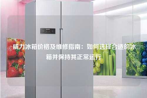  威力冰箱价格及维修指南：如何选择合适的冰箱并保持其正常运行