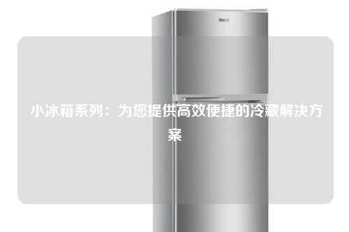  小冰箱系列：为您提供高效便捷的冷藏解决方案