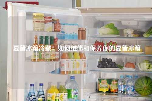  夏普冰箱冷藏：如何维修和保养你的夏普冰箱