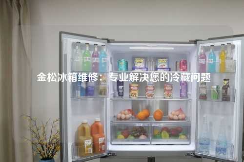  金松冰箱维修：专业解决您的冷藏问题