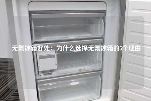  无氟冰箱好处：为什么选择无氟冰箱的5个理由