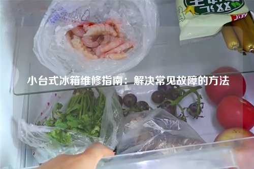  小台式冰箱维修指南：解决常见故障的方法