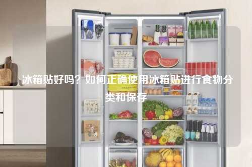  冰箱贴好吗？如何正确使用冰箱贴进行食物分类和保存
