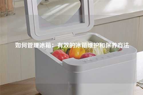  如何管理冰箱：有效的冰箱维护和保养方法