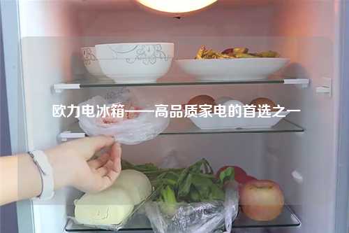  欧力电冰箱——高品质家电的首选之一