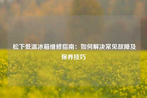  松下低温冰箱维修指南：如何解决常见故障及保养技巧