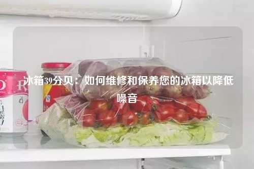  冰箱39分贝：如何维修和保养您的冰箱以降低噪音