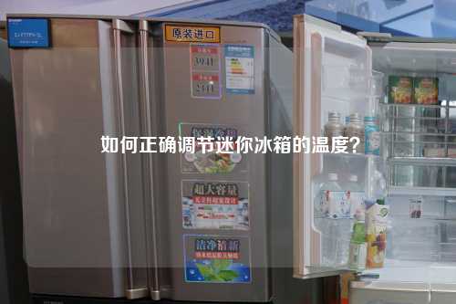  如何正确调节迷你冰箱的温度？