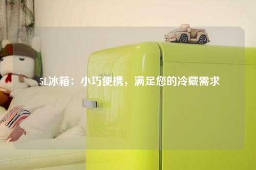  5L冰箱：小巧便携，满足您的冷藏需求