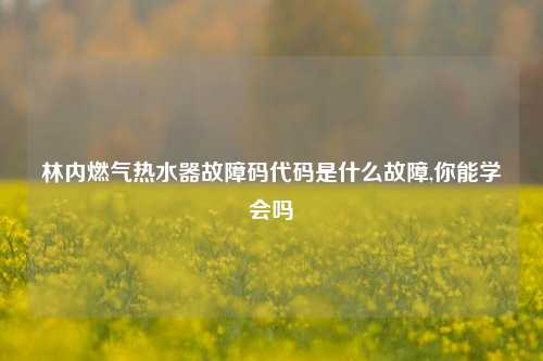 林内燃气热水器故障码代码是什么故障,你能学会吗