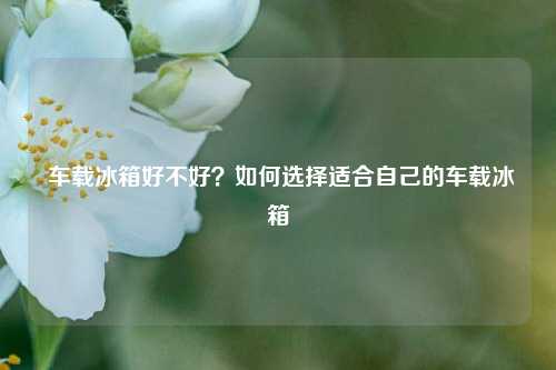  车载冰箱好不好？如何选择适合自己的车载冰箱