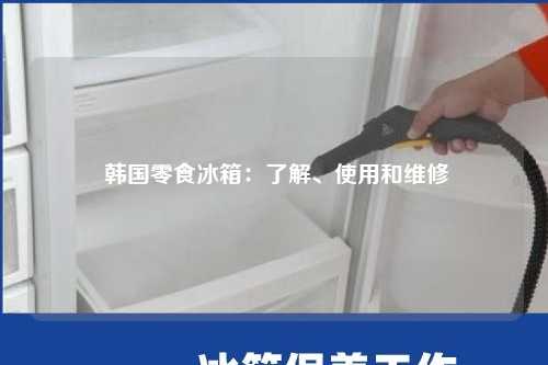  韩国零食冰箱：了解、使用和维修