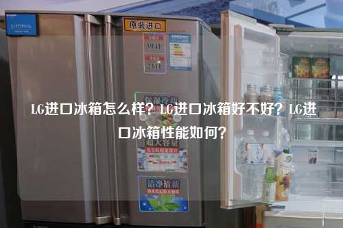  LG进口冰箱怎么样？LG进口冰箱好不好？LG进口冰箱性能如何？