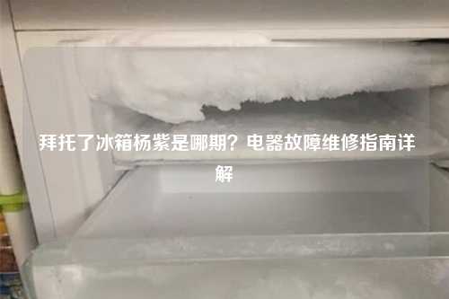  拜托了冰箱杨紫是哪期？电器故障维修指南详解