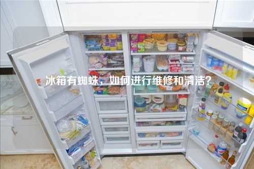 冰箱有蜘蛛，如何进行维修和清洁？
