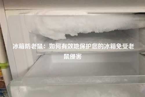  冰箱防老鼠：如何有效地保护您的冰箱免受老鼠侵害