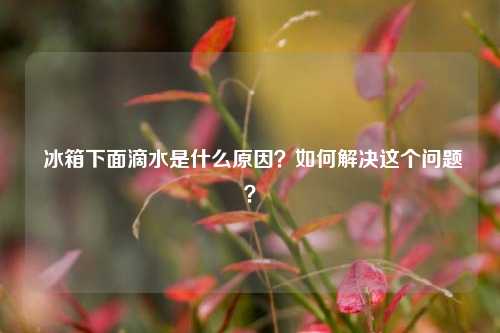  冰箱下面滴水是什么原因？如何解决这个问题？