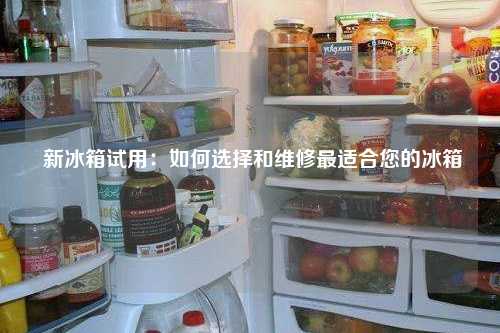  新冰箱试用：如何选择和维修最适合您的冰箱