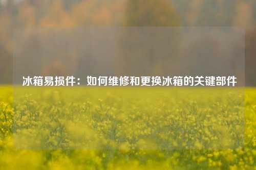  冰箱易损件：如何维修和更换冰箱的关键部件