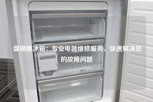  盘锦挪冰箱：专业电器维修服务，快速解决您的故障问题
