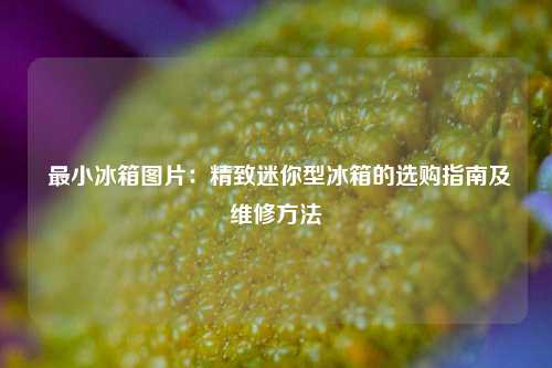  最小冰箱图片：精致迷你型冰箱的选购指南及维修方法