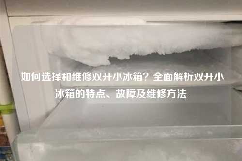  如何选择和维修双开小冰箱？全面解析双开小冰箱的特点、故障及维修方法