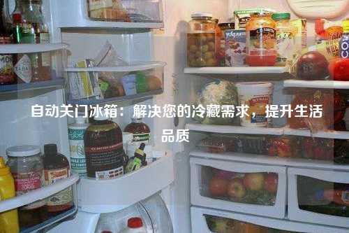  自动关门冰箱：解决您的冷藏需求，提升生活品质