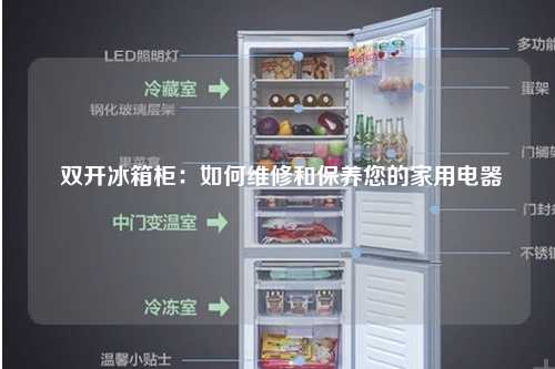  双开冰箱柜：如何维修和保养您的家用电器