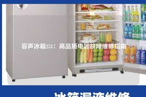  容声冰箱251：高品质电器故障维修指南