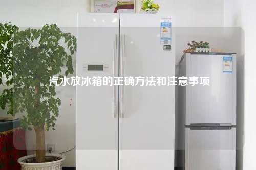  汽水放冰箱的正确方法和注意事项