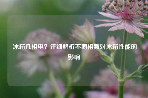  冰箱几相电？详细解析不同相数对冰箱性能的影响