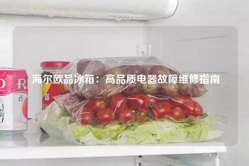  海尔欧品冰箱：高品质电器故障维修指南