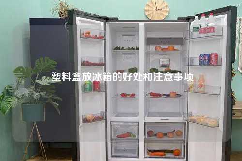  塑料盒放冰箱的好处和注意事项