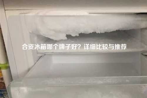  合资冰箱哪个牌子好？详细比较与推荐