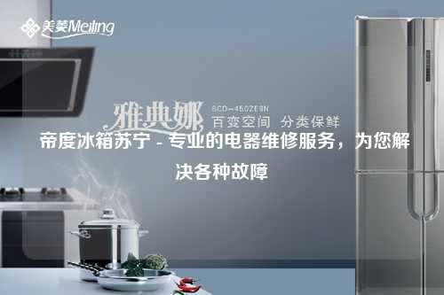  帝度冰箱苏宁 - 专业的电器维修服务，为您解决各种故障