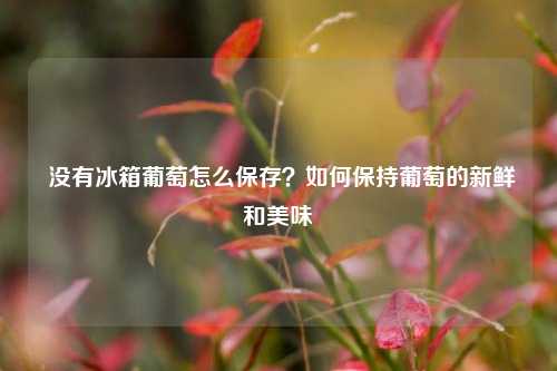  没有冰箱葡萄怎么保存？如何保持葡萄的新鲜和美味