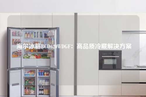  海尔冰箱BCD620WDGF：高品质冷藏解决方案