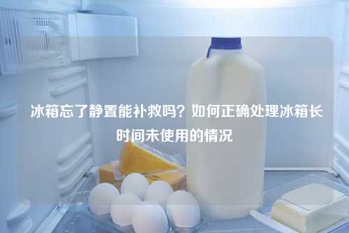  冰箱忘了静置能补救吗？如何正确处理冰箱长时间未使用的情况