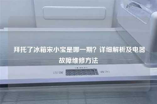  拜托了冰箱宋小宝是哪一期？详细解析及电器故障维修方法