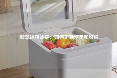  翡翠冰箱冷藏：如何正确使用和维护