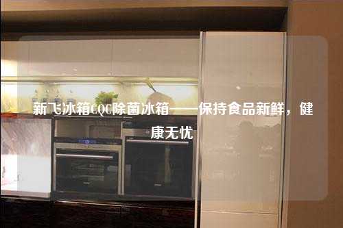  新飞冰箱CQC除菌冰箱——保持食品新鲜，健康无忧