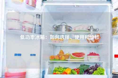  低功率冰箱：如何选择、使用和维修