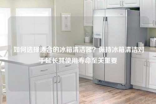  如何选择适合的冰箱清洁器？保持冰箱清洁对于延长其使用寿命至关重要