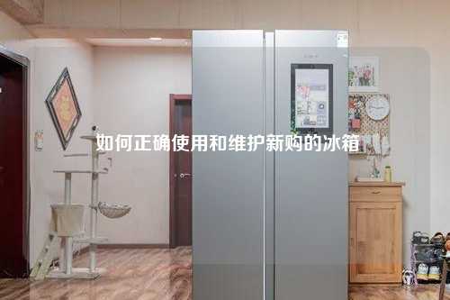  如何正确使用和维护新购的冰箱