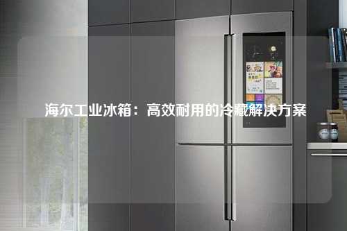  海尔工业冰箱：高效耐用的冷藏解决方案