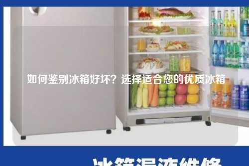 如何鉴别冰箱好坏？选择适合您的优质冰箱