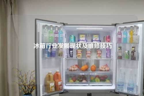  冰箱行业发展现状及维修技巧